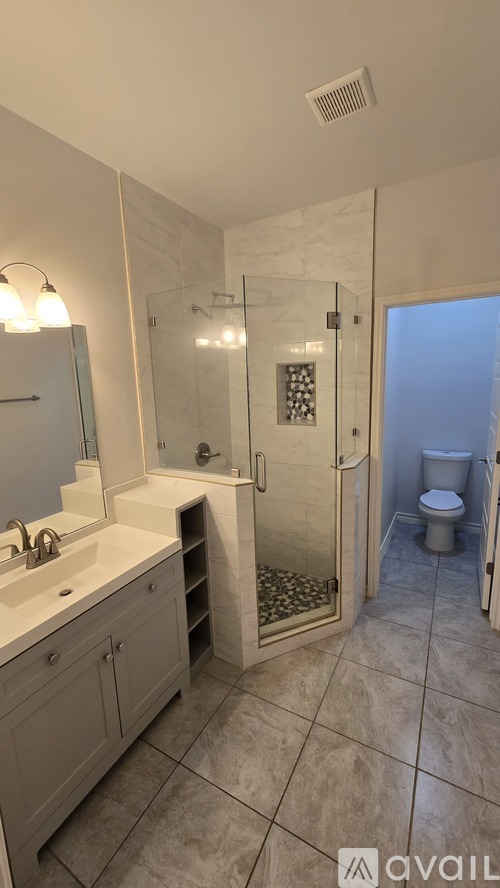 A bathroom with a walk-in shower and a toilet.