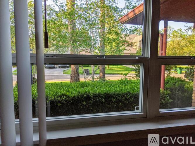 A window with a view of a green lawn and trees.