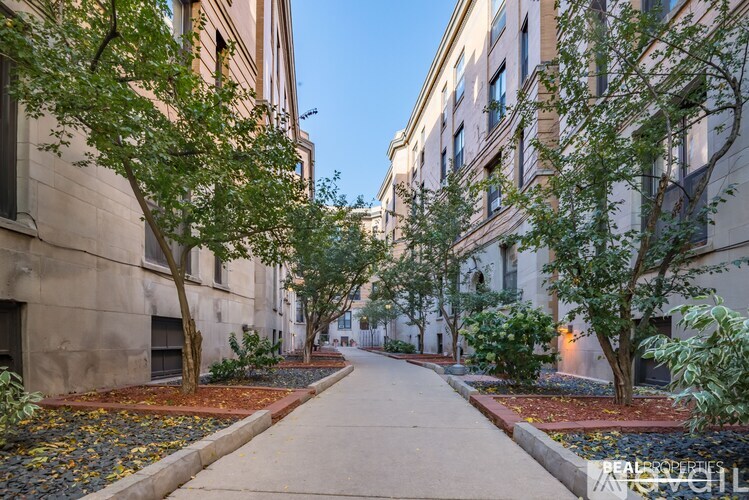 A tree-lined walkway between two buildings.