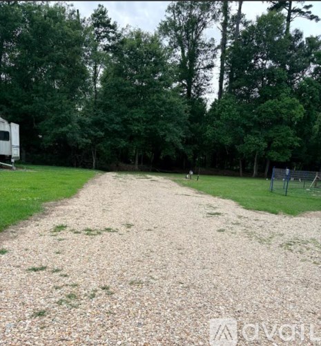 A gravel path leads through a grassy area with trees on either side.