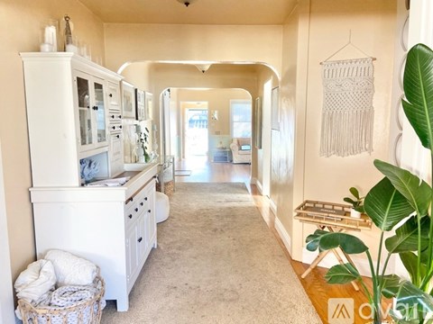 A well-lit kitchen with a white cabinet and a large plant on the right.