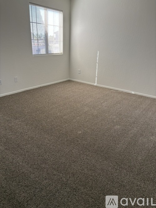 A carpeted room with a window and a white wall.
