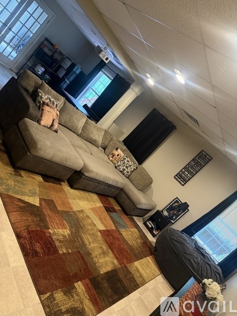 A dog is sitting on a couch in a living room.