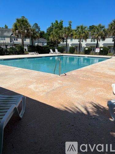 A pool surrounded by palm trees and a bench.