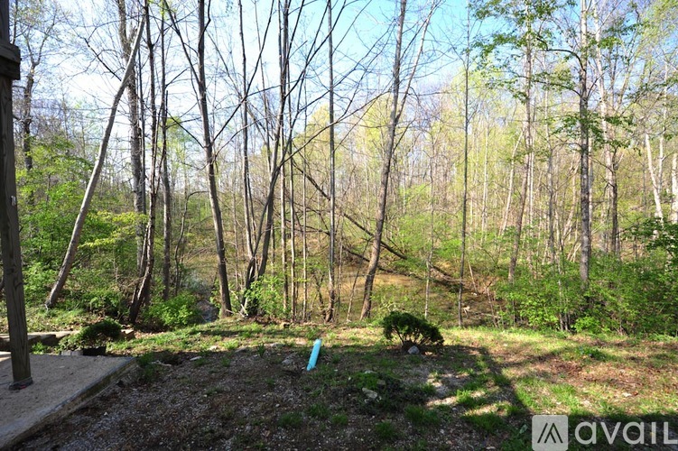 A forest with a few trees and a small bush in the foreground.