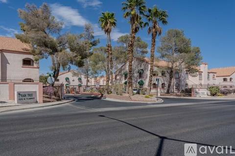 A street view with palm trees and a sign that says "Rain Tree".