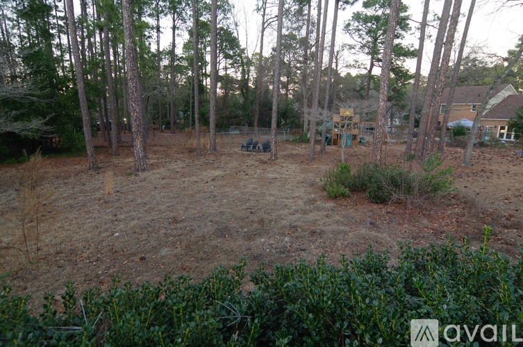 A backyard with a dirt ground and a few trees.