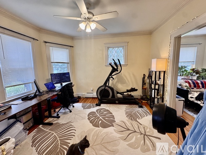 43 Woodlawn St 1 Apartment for Rent - Photo gallery 5