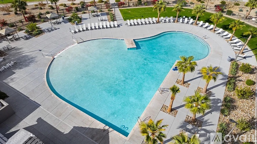 A heart-shaped pool surrounded by palm trees and lounge chairs.