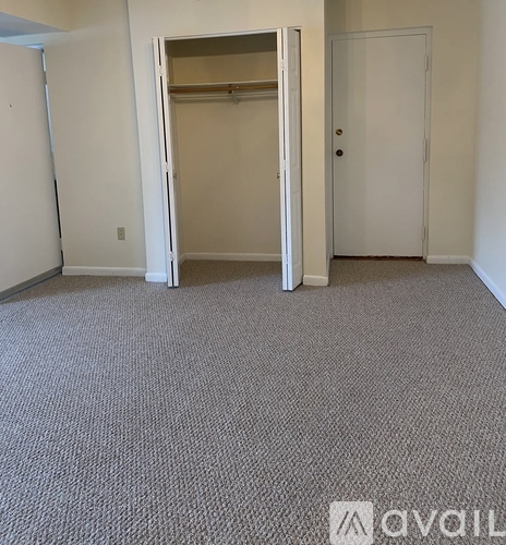 A carpeted room with a door open to a closet.