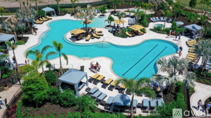 A large outdoor swimming pool surrounded by palm trees and lounge chairs.