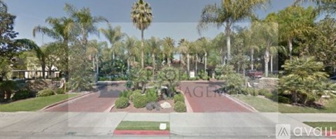 A street view with a red path in the middle and palm trees on both sides.