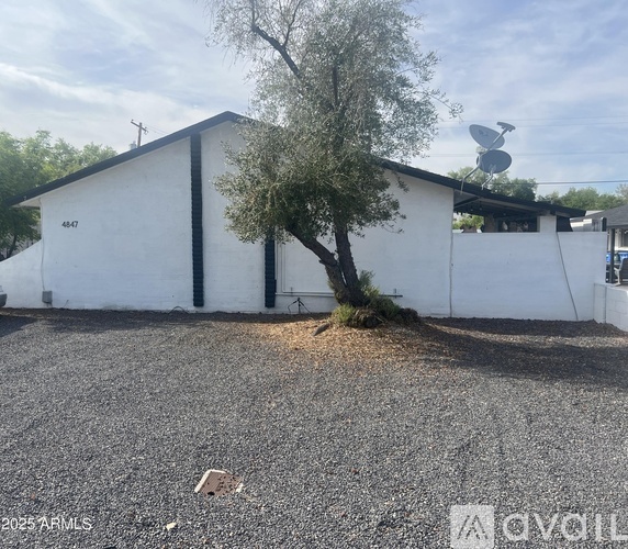 A white building with a tree in front of it.