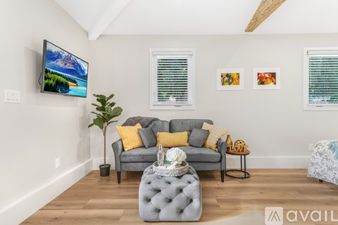 A living room with a grey couch, a TV on the wall, and a plant on the floor.
