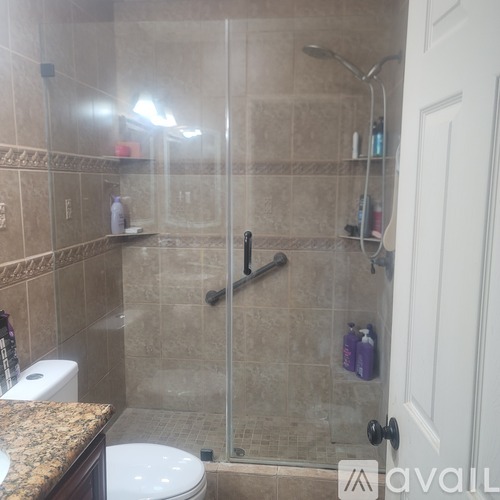 A bathroom with a walk-in shower and a toilet.
