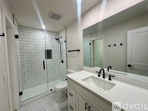 A bathroom with a white sink and a walk-in shower.