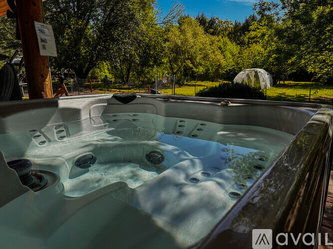 A hot tub with a view of a green tree and a blue sky.