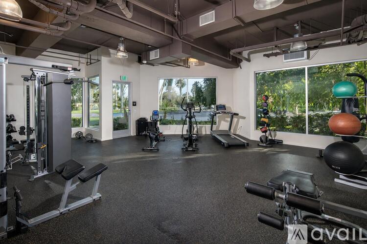 A gym with a variety of equipment including treadmills, weights, and exercise balls.