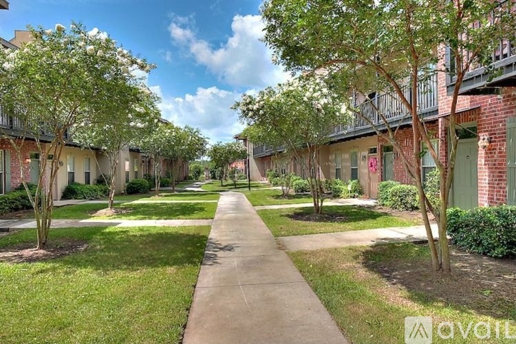 A tree-lined walkway leads through a quiet residential area.