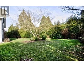 A lush green yard with a tree in the middle.