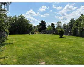 A lush green lawn with trees and a fence in the background.