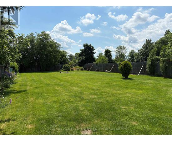 A lush green lawn with trees and a fence in the background.