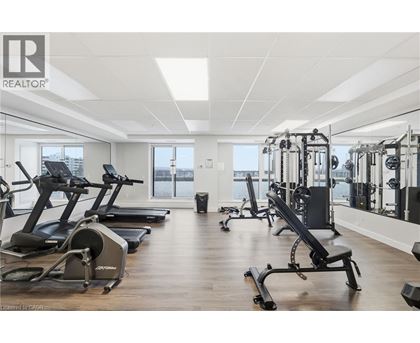 A gym with treadmills, elliptical machines, and weight machines.
