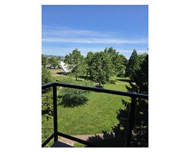 A balcony overlooks a green lawn and trees.