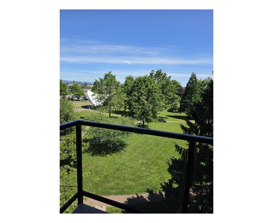 A balcony overlooks a green lawn and trees.