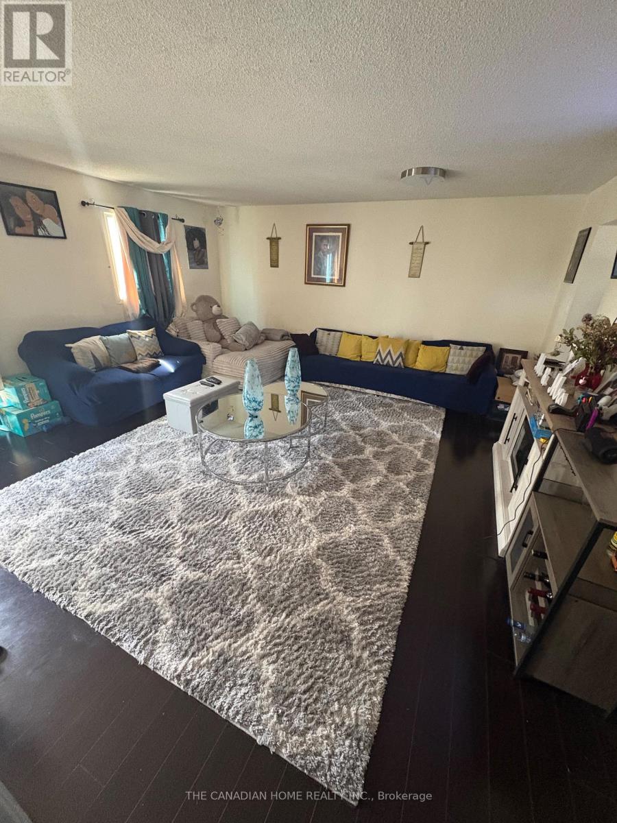 A living room with a rug, a couch, and a coffee table.