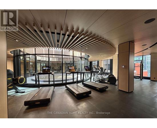 A gym with treadmills, elliptical machines and a rowing machine.