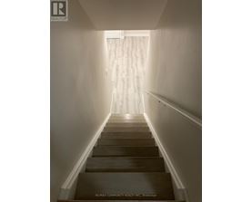 A long flight of stairs leading to a bright room.
