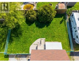 A backyard with a swimming pool and a tree.