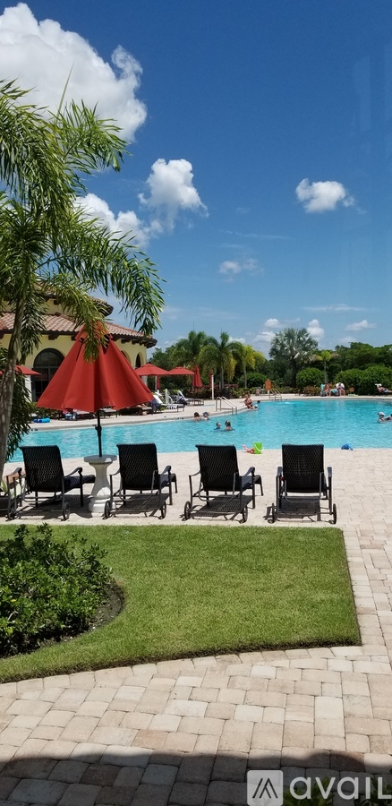 A pool area with chairs and umbrellas.