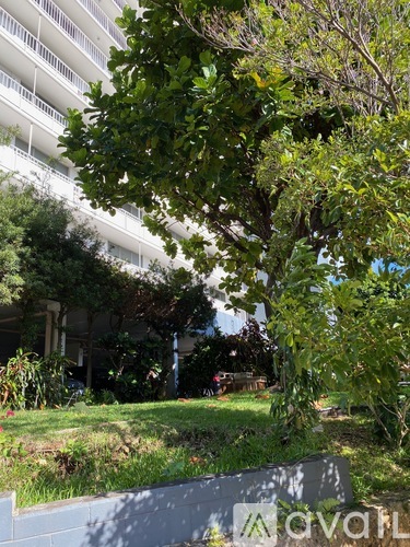 1011 Prospect St 1 Condo for Rent - Photo gallery 4