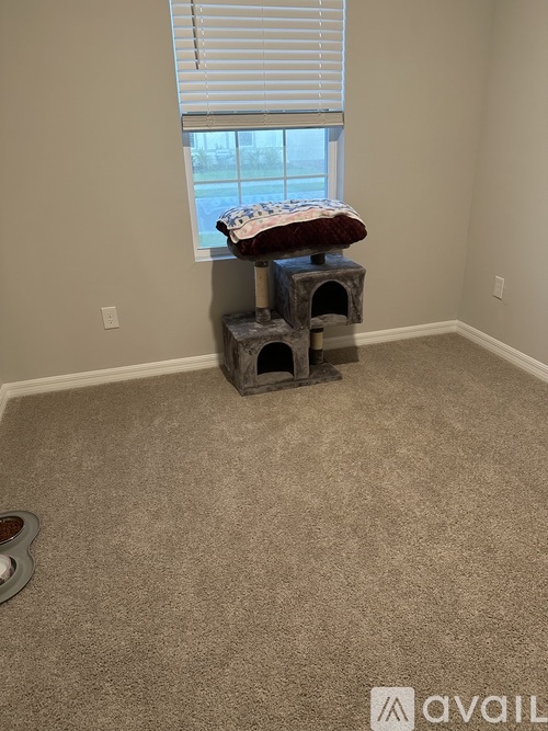 20166 Camino Torcido Loop 2 Beds Single Family Home for Rent - Photo gallery 2