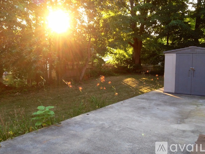 A shed sits in a grassy area with the sun shining through the trees.