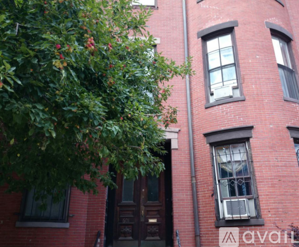 A tree with red berries hangs over a wooden door.