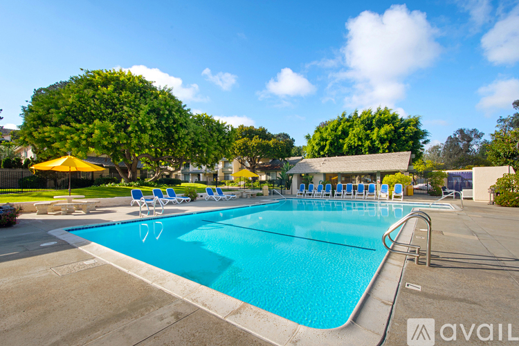A large outdoor swimming pool surrounded by trees and lounge chairs.