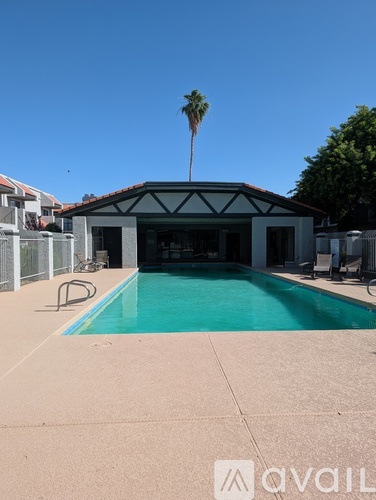 A pool with a palm tree in the background.