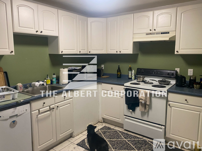 36 Dighton Street 2 Beds Apartment for Rent - Photo gallery 5