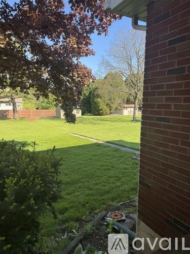 A tree with brown leaves is in the foreground of a grassy area.
