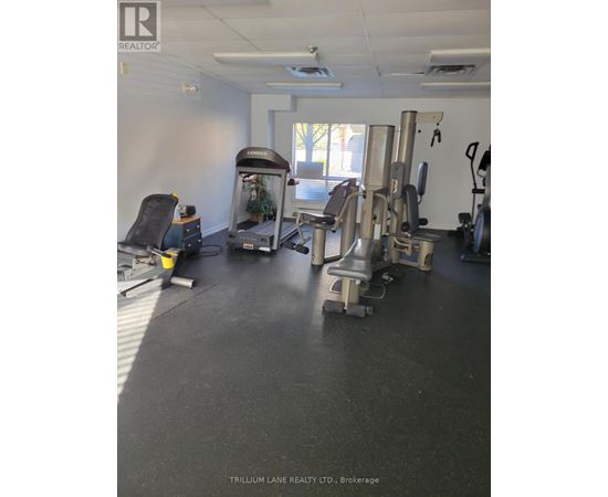 A gym room with a treadmill, weights and exercise equipment.