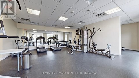 A gym with a variety of equipment including treadmills, weights, and a bench press.