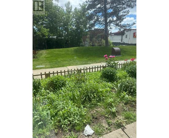 A garden with a fence and a tree in the background.