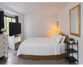 A bedroom with a large bed, a TV, and a mirror on the wall.