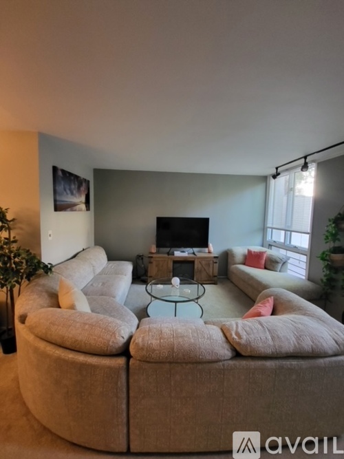 263 Greene St 1 Apartment for Rent - Photo gallery 5
