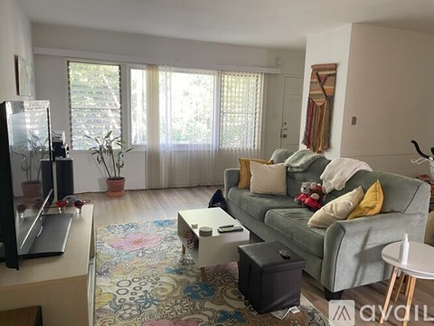 A living room with a grey couch and a television.