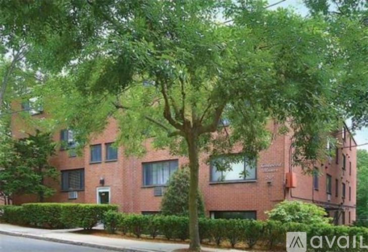 A tree in front of a red brick building with a sign that says "available".