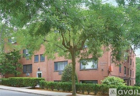 A tree in front of a red brick building with a sign that says "available".